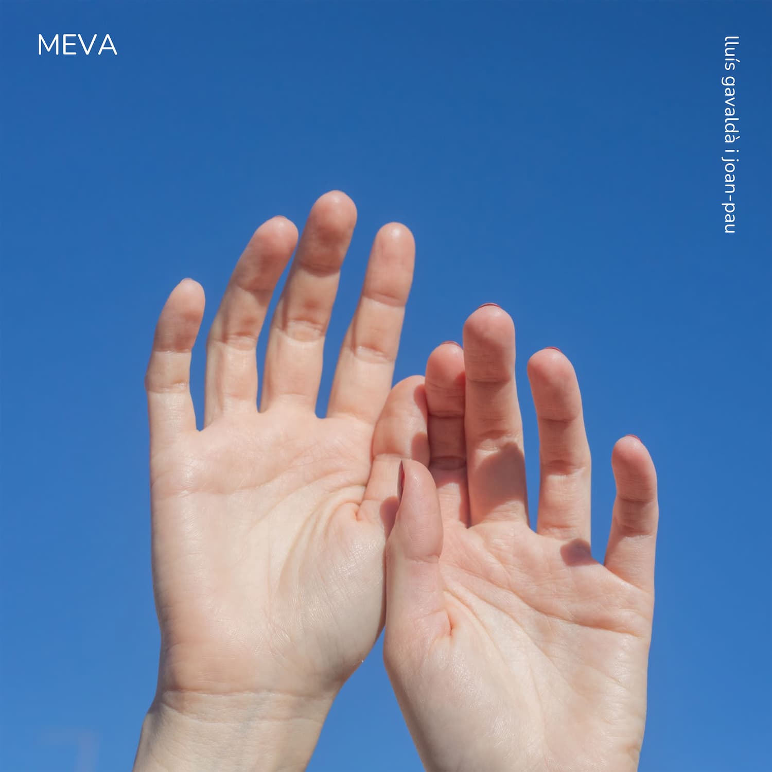 Meva - Lluís Gavaldà i Joan-Pau